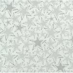 Sander Vánoční látkový ubrousek Stelle bílo-stříbrný 45x45cm – Sleviste.cz