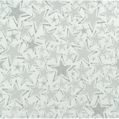 Sander Vánoční látkový ubrousek Stelle bílo-stříbrný 45x45cm – Sleviste.cz