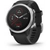 Garmin fenix6S Glass