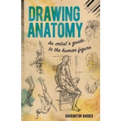 Drawing Anatomy