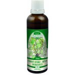 Naděje Černý rybíz maliník tinktura z pupenů rostlin 50 ml – Hledejceny.cz