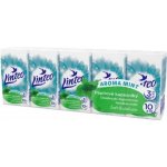 Linteo papírové kapesníčky papírové máta 3-vrstvé 10 x 10 ks – Zboží Dáma