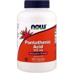 Now Foods Pantothenic Acid 500 mg 250 kapslí – Hledejceny.cz