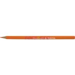 Colorino oranžová R86525PTR – Zboží Živě