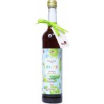 Naturprodukt sirup mojito 0,5 l – Zboží Dáma