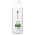 Biolage Strength Recovery kondicionér 1000 ml – Zboží Dáma