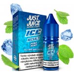 Just Juice Salt ICE Pure Mint 10 ml 11 mg – Sleviste.cz