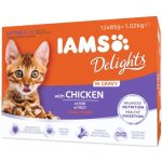Iams Delights kitten kuře v omáčce 12 x 85 g – Hledejceny.cz