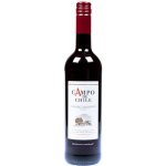 Campo De Chile Cabernet Sauvignon 13% 0,75 l (holá láhev) – Zboží Dáma