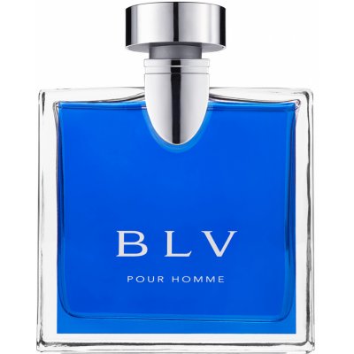 Bvlgari BLV toaletní voda pánská 100 ml – Hledejceny.cz