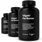 Vilgain Spalovač tuků 2.0 360 kapslí – Zbozi.Blesk.cz