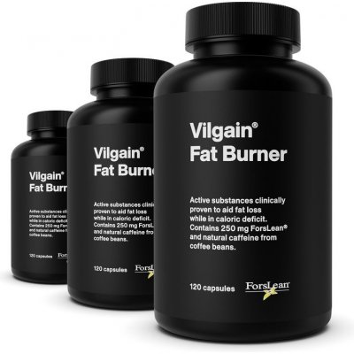 Vilgain Spalovač tuků 2.0 360 kapslí – Zbozi.Blesk.cz
