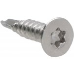 Šroub samovrtný 4,2 x 13 mm, zápustný, TX20, AISI 304 – Sleviste.cz