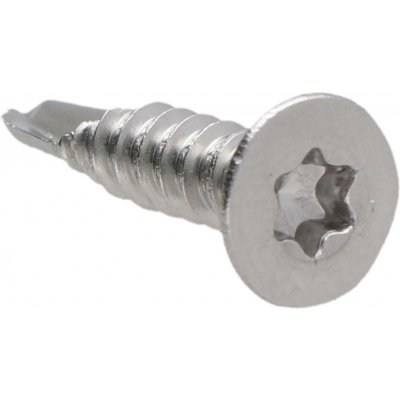 Šroub samovrtný 4,2 x 13 mm, zápustný, TX20, AISI 304 – Sleviste.cz