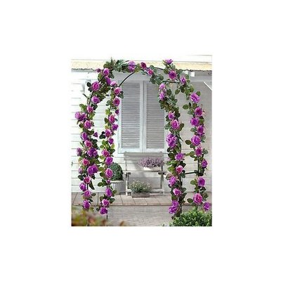opěra na rostliny, 140 x 38 x 240 cm – Sleviste.cz