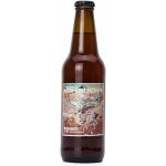 Prager´s Kombucha Rooibos 330 ml – Sleviste.cz