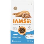 IAMS Advanced Nutrition Kitten s mořskou rybou 10 kg – Zboží Dáma