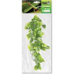 GiganTerra Závěsná rostlina Pothos 46 cm – Sleviste.cz