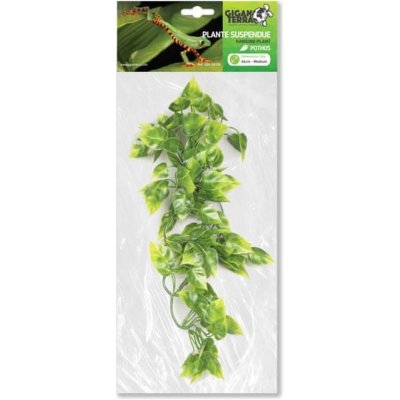 GiganTerra Závěsná rostlina Pothos 46 cm – Zbozi.Blesk.cz