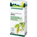 Schoenenberger Bříza Bio šťáva 0,2 l – Hledejceny.cz