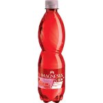Magnesia RED malina 0,5 l - PET – Zbozi.Blesk.cz