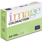 Image Coloraction 119086 barevný papír A4 80 g středně zelená 500 ks – Zboží Mobilmania