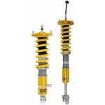 Öhlins Road & Track stavitelný podvozek Nissan Skyline GT-R BCNR33/BNR34 (1993-2002) NIS MI10S1