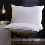 Polštáře a peřiny.cz Péřový polštář Classic bílá 70x90 – Zboží Mobilmania