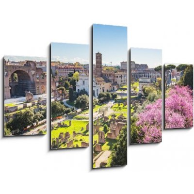 Obraz 5D pětidílný - 150 x 100 cm - The aerial view of Roman Forum in Rome, Italy Letecký pohled na Římské fórum v Římě, Itálie – Hledejceny.cz