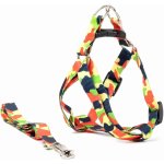 Vsepropejska Usual postroj pro psa s vodítkem – Zbozi.Blesk.cz