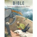 Bible - Ilustrované příběhy ze Starého zákona