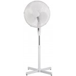 ECG FS 40 – Zboží Dáma