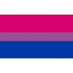 Vlajka bisexuální hrdosti vlajka - 100 x 150 cm - tunel, karabina – Hledejceny.cz