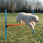 Trixie Agility překážka 3 tyče / 129/115 cm – Hledejceny.cz