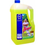 Mr. Proper Profesionál univerzální citronový čistič Lemon 5 l – Zboží Mobilmania