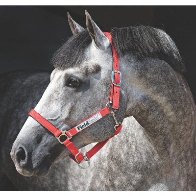 Horseware Ohlávka Field Safe červená – Zbozi.Blesk.cz