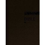 Bible zlatohnědá, velký formát – Hledejceny.cz