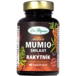 Dr. Popov Mumio Shilajt + Rakytník 60 tablet – Hledejceny.cz