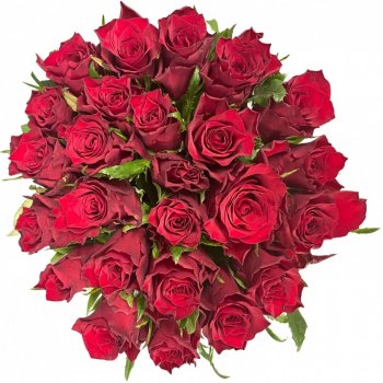 Kytice 25 červených růží INFRARED 70 cm