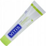 Vitis Orthodontic pro rovnátka s jablečnou příchutí 100 ml – Hledejceny.cz