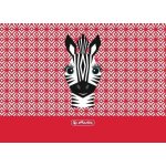 Herlitz Desky na číslice cute animals zebra – Hledejceny.cz