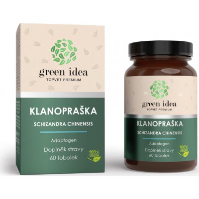 Green idea Kustovnice čínská bylinný extrakt 60 tablet – Hledejceny.cz
