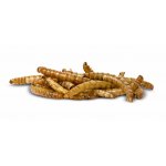 JK ANIMALS Dried Mealworms 80 g – HobbyKompas.cz