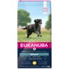 Granule pro psy Eukanuba Active Adult Large & Giant Breed 15 kg