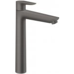 Hansgrohe 71717340 – Hledejceny.cz