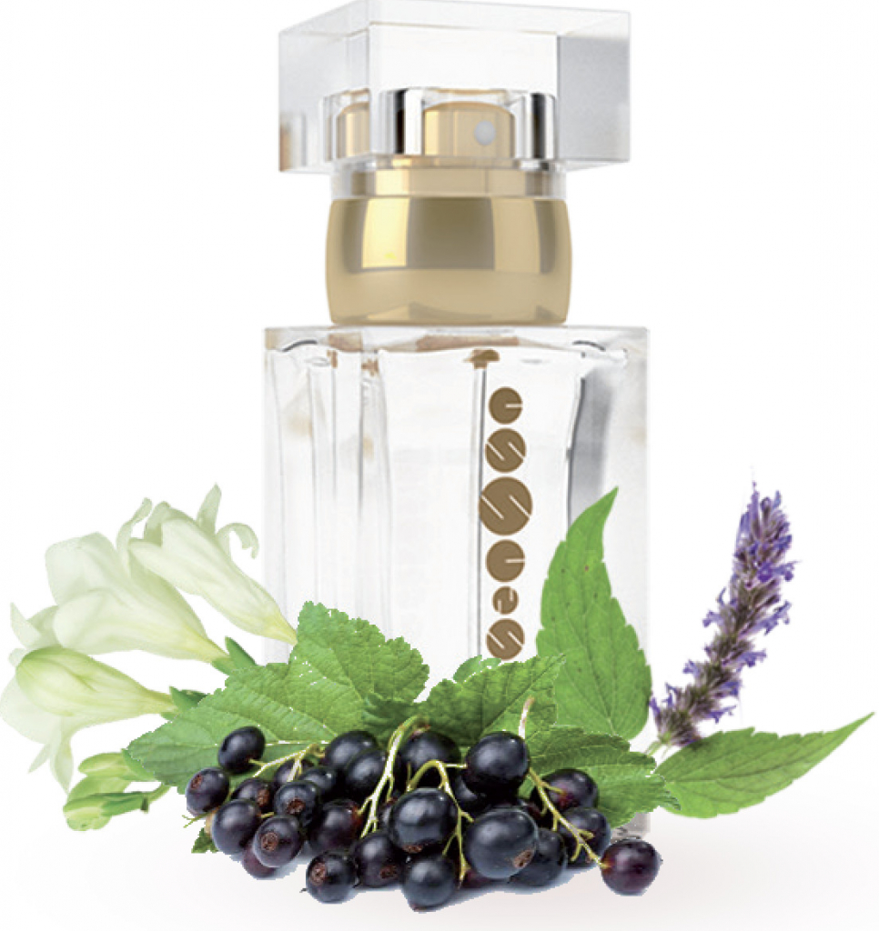 Essens parfém dámský 148 50 ml