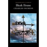 Bleak House Charles Dickens Paperback – Hledejceny.cz