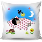 Matějovský polštář KRTEK A POČÍTADLO Krteček bílý 40x40 – Hledejceny.cz