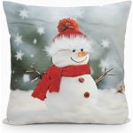 Povlečení Plus Vánoční polštář Sněhulák 3D 40x40 – Zboží Dáma
