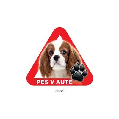 Grel nálepka na plech pozor pes v autě kavalír king – Zbozi.Blesk.cz